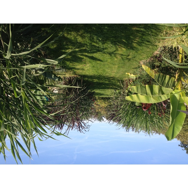 รูปถ่าย ฝรั่งเศส(France) ปารีส(Paris) สวนพันธ์ุพืช(Jardin des Plantes) 2014-09 26