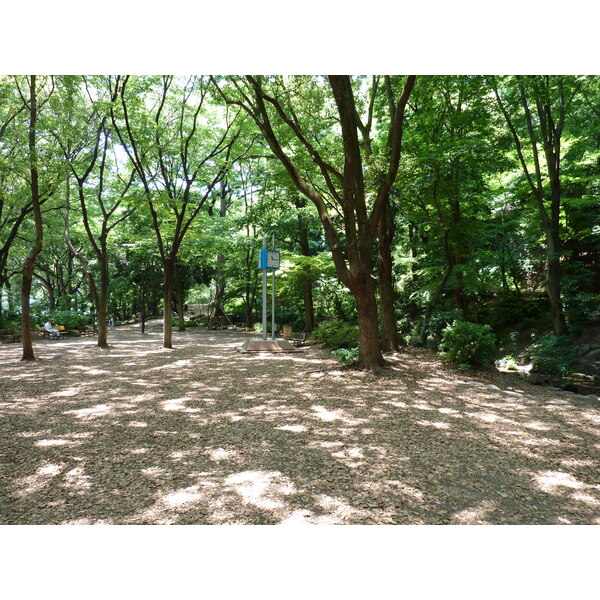 รูปถ่าย ญี่ปุ่น(Japan) โตเกียว(Tokyo) สวนชิบะ(Shiba Park) 2010-06 64