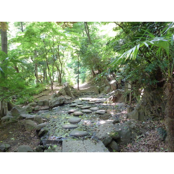 รูปถ่าย ญี่ปุ่น(Japan) โตเกียว(Tokyo) สวนชิบะ(Shiba Park) 2010-06 63