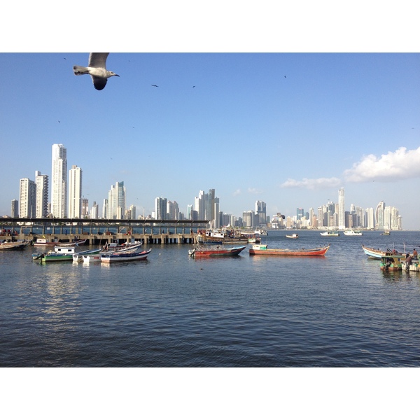 รูปถ่าย ปานามา(Panama) ปานามาซิตี(Panama City) 2015-03 133