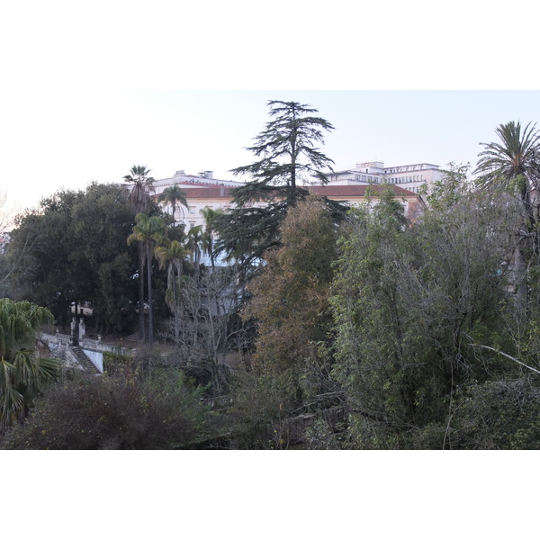 รูปถ่าย โปรตุเกส(Portugal) โกอิงบรา(Coimbra) 2013-01 60
