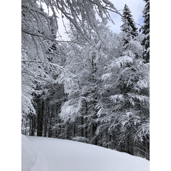 รูปถ่าย ฝรั่งเศส(France) ลากลูซา(La Clusaz) 2017-12 160