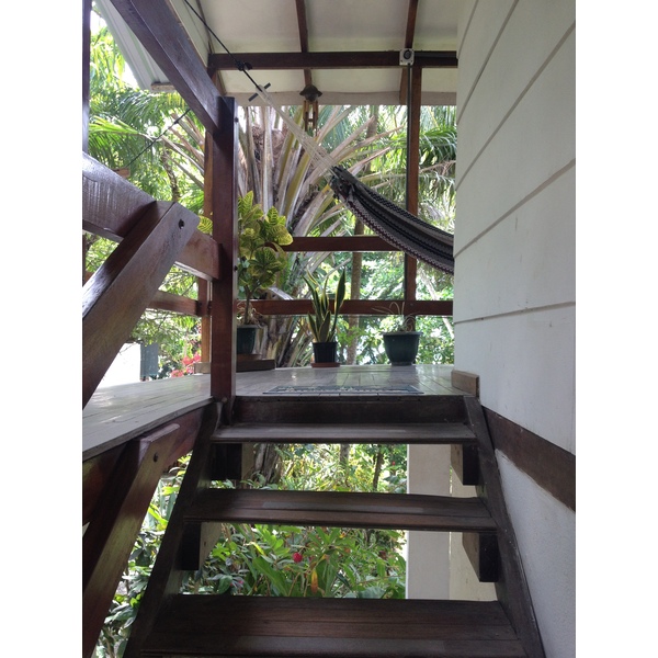 รูปถ่าย คอสตาริกา(Costa Rica) มอนเตซูมา(Montezuma) 2015-03 170