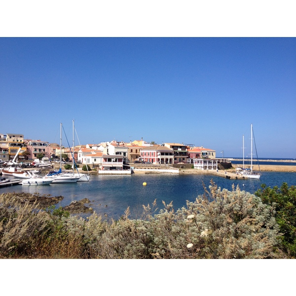 รูปถ่าย อิตาลี(Italy) ซาร์ดิเนีย(Sardinia) แหลมกาโปเดลฟัลโกเน(Capo del Falcone) 2015-06 43