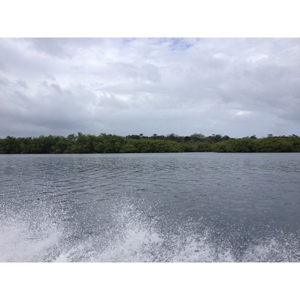 รูปถ่าย ปานามา(Panama) จากดาบิดไปโบกัสเดลโตโร(David to Bocas del toro) 2015-03 94