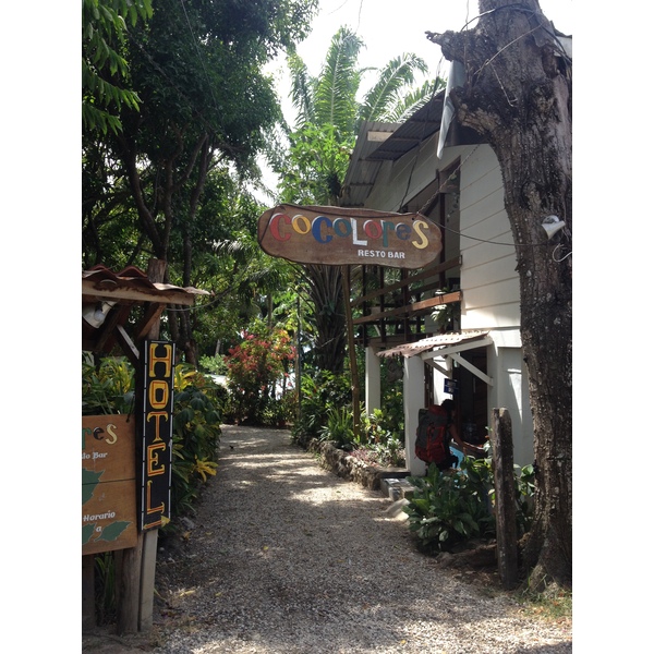 รูปถ่าย คอสตาริกา(Costa Rica) มอนเตซูมา(Montezuma) 2015-03 152
