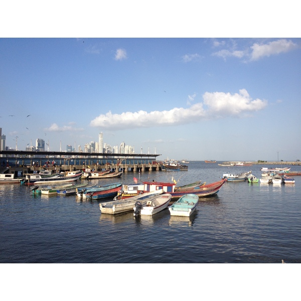 รูปถ่าย ปานามา(Panama) ปานามาซิตี(Panama City) 2015-03 57