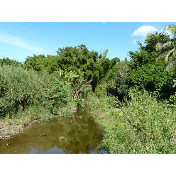 รูปถ่าย นิวแคลิโดเนีย(New Caledonia) ถนนจากกานาลาไปลาฟัว(Canala to La Foa road) 2010-05 14