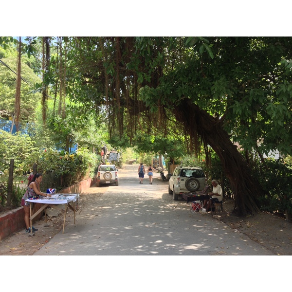 รูปถ่าย คอสตาริกา(Costa Rica) มอนเตซูมา(Montezuma) 2015-03 444