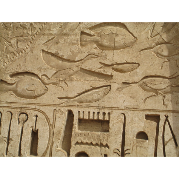 รูปถ่าย อียิปต์(Egypt) ลูซอร์(Luxor) 2007-04 18
