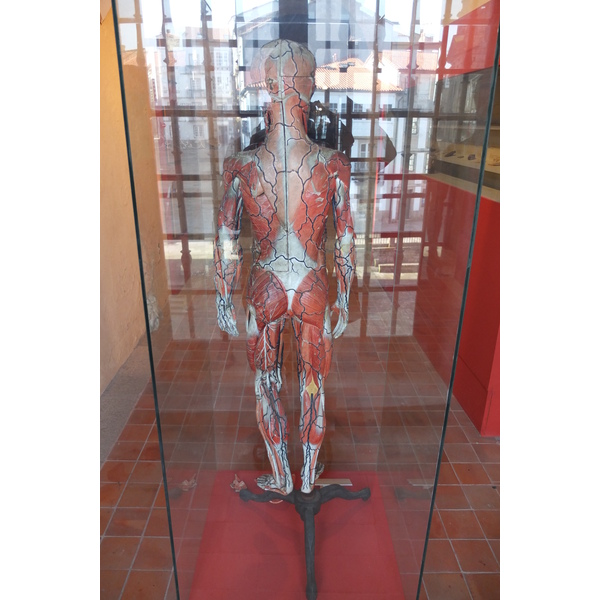 รูปถ่าย สเปน(Spain) ซานเตียโกเดกอมโปสเตลา(Santiago de Compostela) 2013-01 38