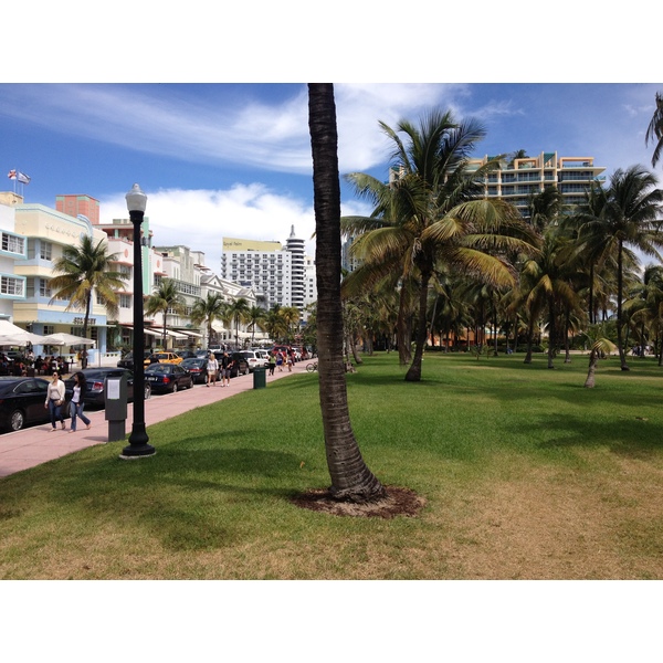 รูปถ่าย สหรัฐอเมริกา(United States) ไมแอมีบีช(Miami Beach) 2015-03 116