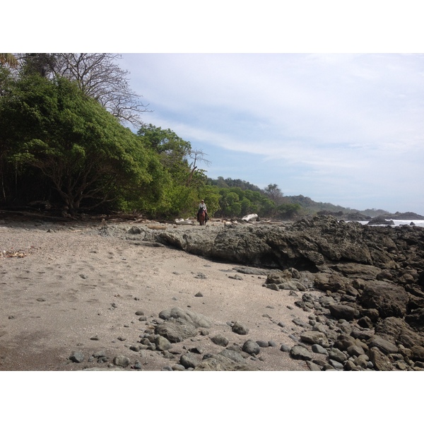 รูปถ่าย คอสตาริกา(Costa Rica) มอนเตซูมา(Montezuma) 2015-03 422