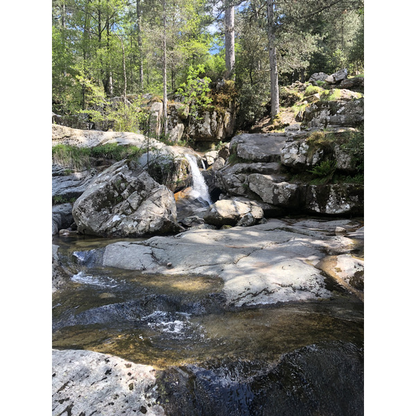 รูปถ่าย ฝรั่งเศส(France) คอร์สิคา(Corsica) ป่าไอโตเน(Aitone Forest) 2021-06 12