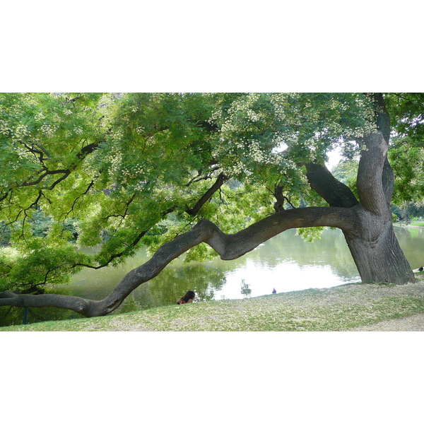 รูปถ่าย ฝรั่งเศส(France) ปารีส(Paris) สวนบุต-โชมง(Parc des Buttes Chaumont) 2007-08 206