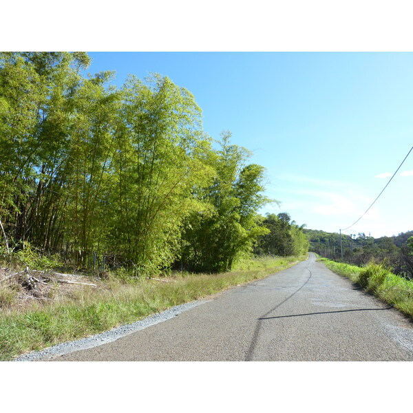 รูปถ่าย นิวแคลิโดเนีย(New Caledonia) ถนนจากทีโอไปกานาลา(Thio to Canala road) 2010-05 1