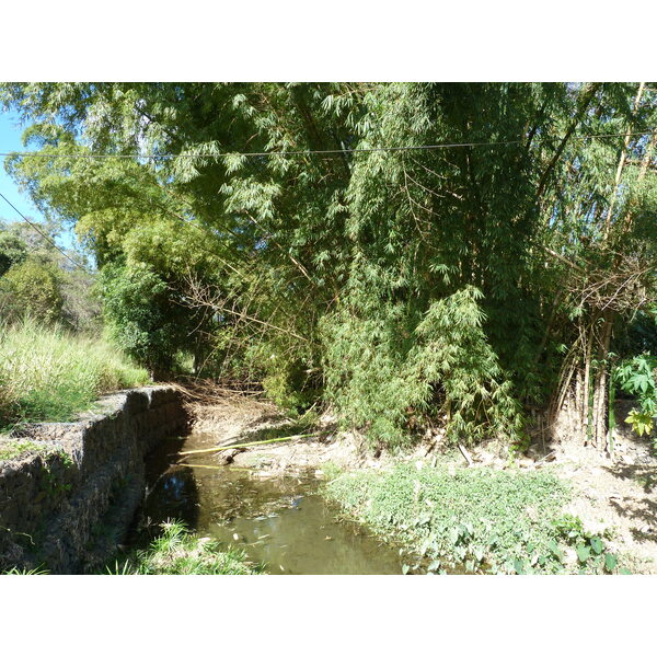 รูปถ่าย นิวแคลิโดเนีย(New Caledonia) ถนนจากทีโอไปกานาลา(Thio to Canala road) 2010-05 6
