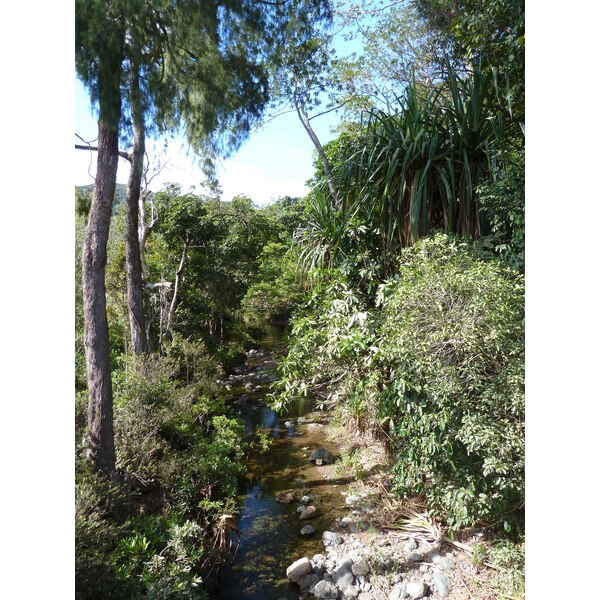 รูปถ่าย นิวแคลิโดเนีย(New Caledonia) ถนนจากทีโอไปกานาลา(Thio to Canala road) 2010-05 9