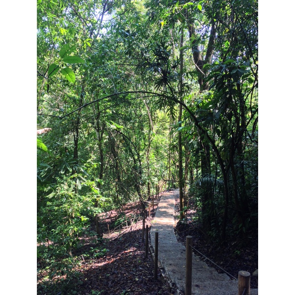 รูปถ่าย คอสตาริกา(Costa Rica) มานวยล์อันโตนีโอ(Manuel Antonio) 2015-03 60