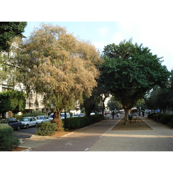 รูปถ่าย อิสราเอล(Israel) เทลอาวีฟ(Tel Aviv) 2006-12 45