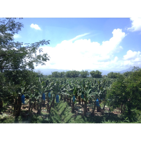 รูปถ่าย คอสตาริกา(Costa Rica) จากลีมอนไปซีกีร์เรส(Limon to Siquirres) 2015-03 23