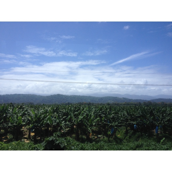 รูปถ่าย คอสตาริกา(Costa Rica) จากลีมอนไปซีกีร์เรส(Limon to Siquirres) 2015-03 24
