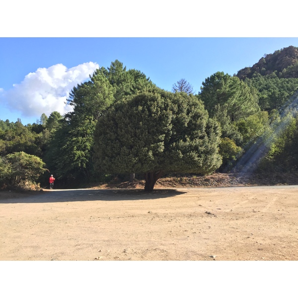 รูปถ่าย ฝรั่งเศส(France) คอร์สิคา(Corsica) เกนซา(Quenza) 2017-09 8