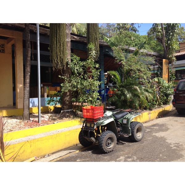 รูปถ่าย คอสตาริกา(Costa Rica) มอนเตซูมา(Montezuma) 2015-03 224