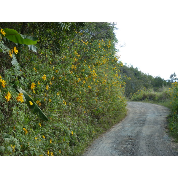 รูปถ่าย นิวแคลิโดเนีย(New Caledonia) ถนนจากทีโอไปกานาลา(Thio to Canala road) 2010-05 65