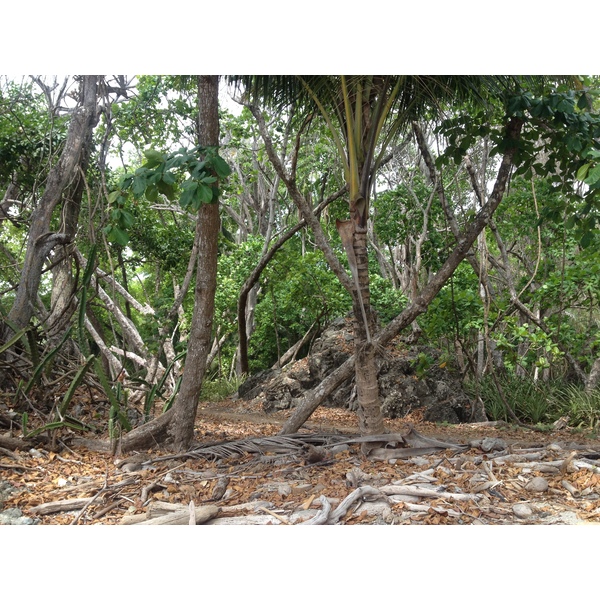 รูปถ่าย คอสตาริกา(Costa Rica) มอนเตซูมา(Montezuma) 2015-03 147