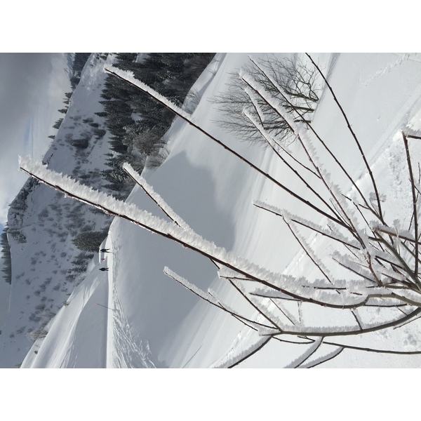 รูปถ่าย ฝรั่งเศส(France) เมแฌฟว์(Megeve) 2016-02 59