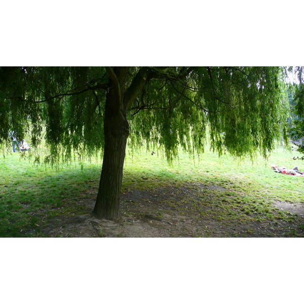 รูปถ่าย ฝรั่งเศส(France) ปารีส(Paris) สวนบุต-โชมง(Parc des Buttes Chaumont) 2007-08 41
