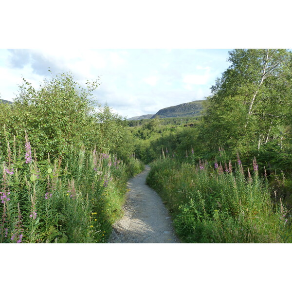 รูปถ่าย อังกฤษ(United Kingdom) เวสเตอร์รอสส์(Wester Ross) 2011-07 31