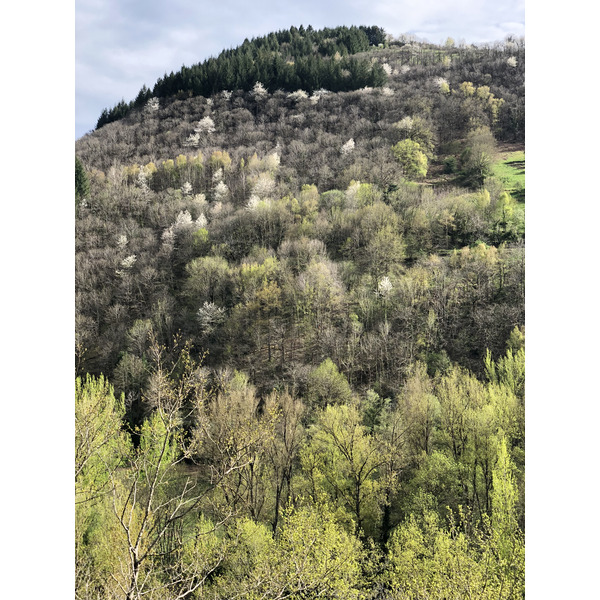 รูปถ่าย ฝรั่งเศส(France) กงก์(Conques) 2018-04 111