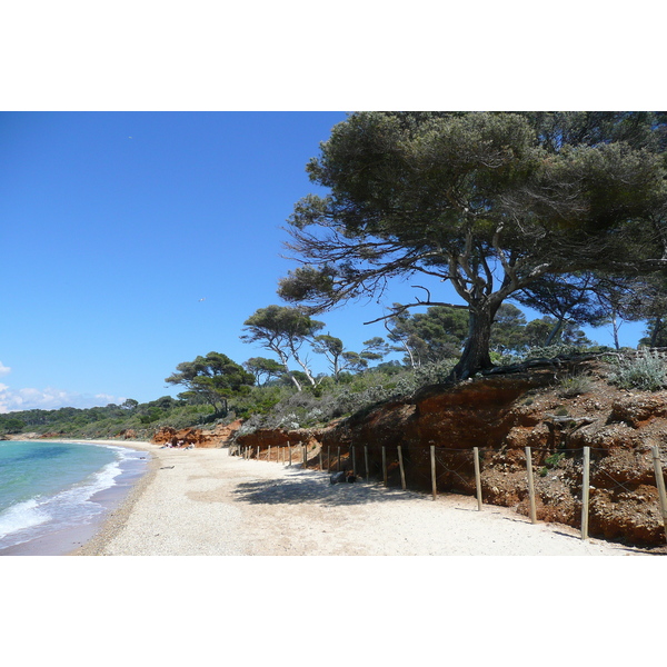 รูปถ่าย ฝรั่งเศส(France) เกาะปอร์เกอรอล(Porquerolles Island) หาดกูร์ตาด(Courtade beach) 2008-05 71