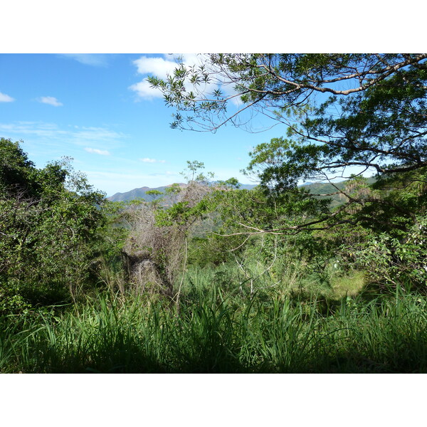 รูปถ่าย นิวแคลิโดเนีย(New Caledonia) ถนนจากทีโอไปกานาลา(Thio to Canala road) 2010-05 67