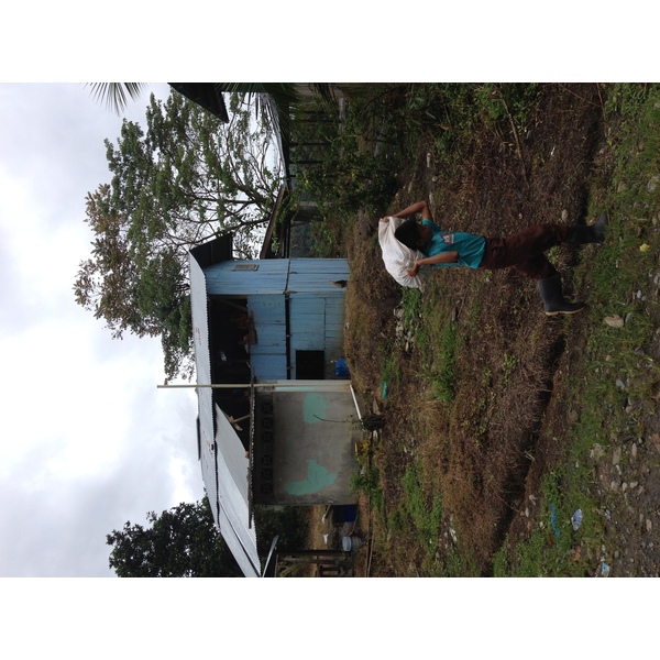 รูปถ่าย ปานามา(Panama) จากดาบิดไปโบกัสเดลโตโร(David to Bocas del toro) 2015-03 17