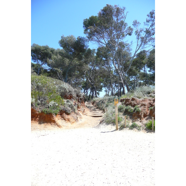 รูปถ่าย ฝรั่งเศส(France) เกาะปอร์เกอรอล(Porquerolles Island) หาดกูร์ตาด(Courtade beach) 2008-05 54