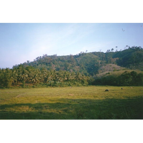 รูปถ่าย ไทย(Thailand) ภูเก็ต(Phuket) 1994-02 3
