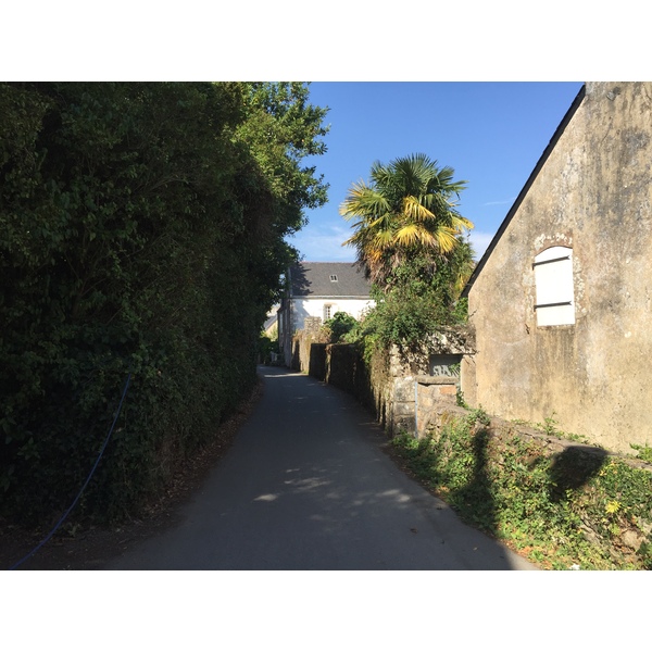 รูปถ่าย ฝรั่งเศส(France) เกาะโอมวน(Ile-aux-Moines) 2016-08 105