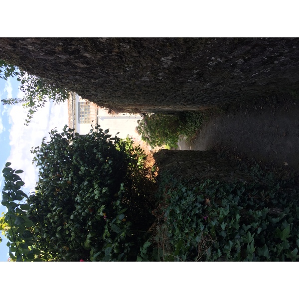 รูปถ่าย ฝรั่งเศส(France) เกาะโอมวน(Ile-aux-Moines) 2016-08 79