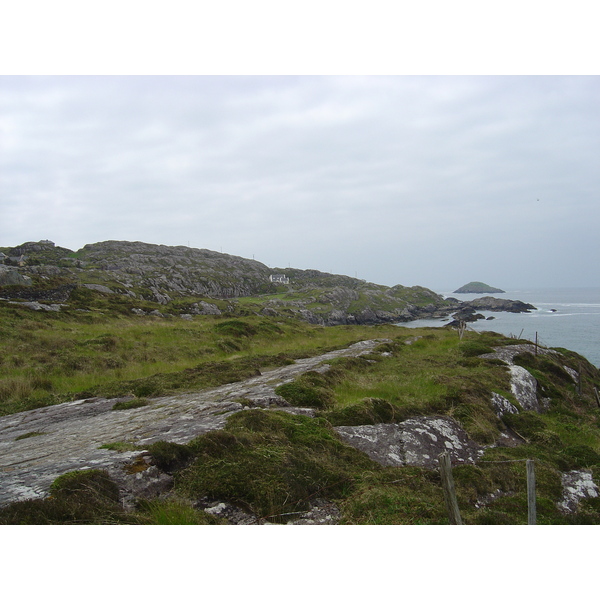 รูปถ่าย ไอร์แลนด์(Ireland) เคอร์รี่(Kerry) ปาร์คนาสิลล่า(Parknasilla) 2004-05 44