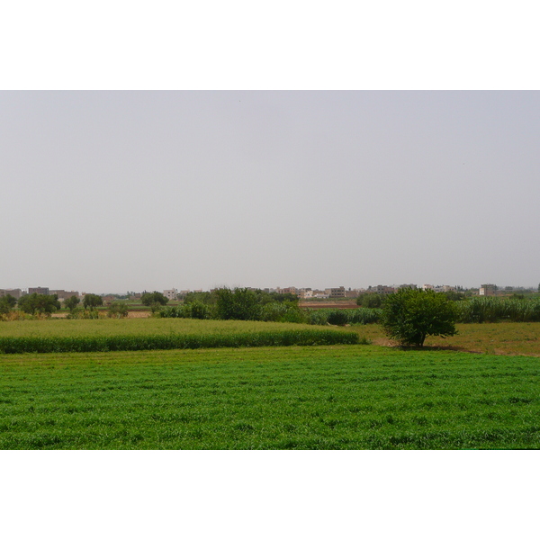 รูปถ่าย โมร็อกโก(Morocco) ถนนจากเฟสไปราบัต(Fes to Rabat Road) 2008-07 85