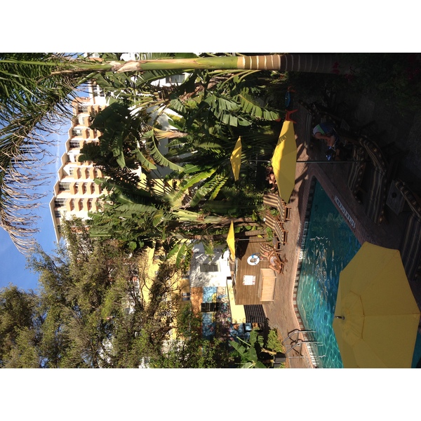 รูปถ่าย สหรัฐอเมริกา(United States) ไมแอมีบีช(Miami Beach) 2015-03 147