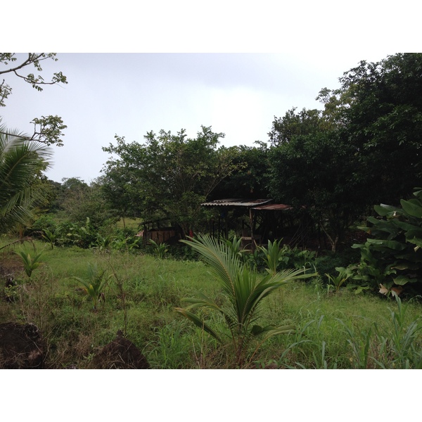รูปถ่าย ปานามา(Panama) จากดาบิดไปโบกัสเดลโตโร(David to Bocas del toro) 2015-03 48