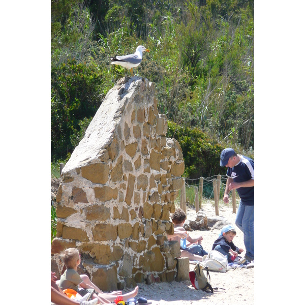 รูปถ่าย ฝรั่งเศส(France) เกาะปอร์เกอรอล(Porquerolles Island) หาดกูร์ตาด(Courtade beach) 2008-05 43