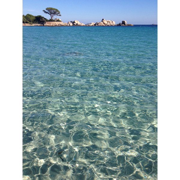 รูปถ่าย ฝรั่งเศส(France) คอร์สิคา(Corsica) ปาลอมบัจจา(Palombaggia) 2012-09 65