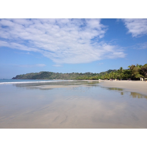 รูปถ่าย คอสตาริกา(Costa Rica) มานวยล์อันโตนีโอ(Manuel Antonio) 2015-03 459