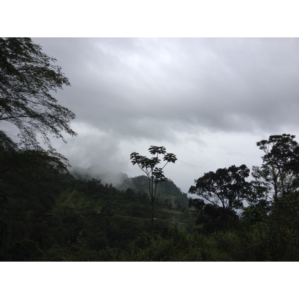 รูปถ่าย ปานามา(Panama) จากดาบิดไปโบกัสเดลโตโร(David to Bocas del toro) 2015-03 52