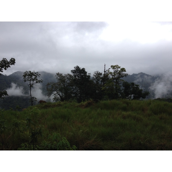 รูปถ่าย ปานามา(Panama) จากดาบิดไปโบกัสเดลโตโร(David to Bocas del toro) 2015-03 57
